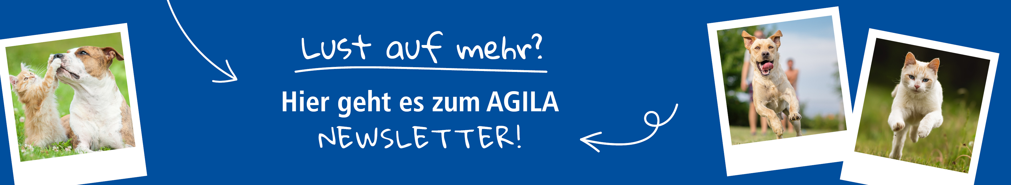 AGILA Website Banner Podcast