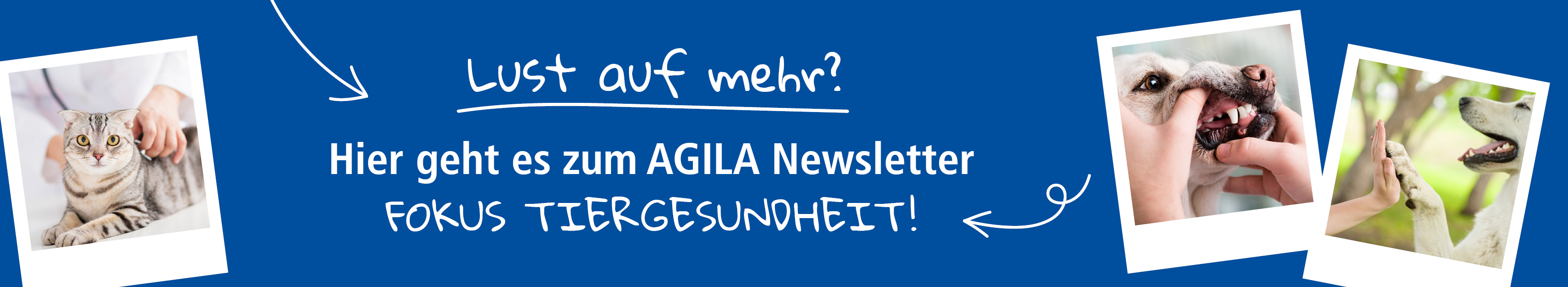AGILA Website Banner Podcast