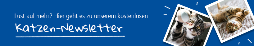 Agila Katzen-Newsletter