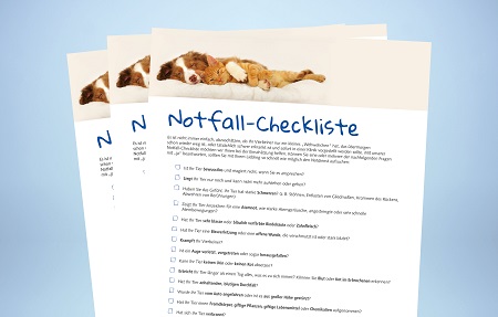 Mit unserer Notfall-Checkliste Notfälle bei Hund und Katze schnell erkennen