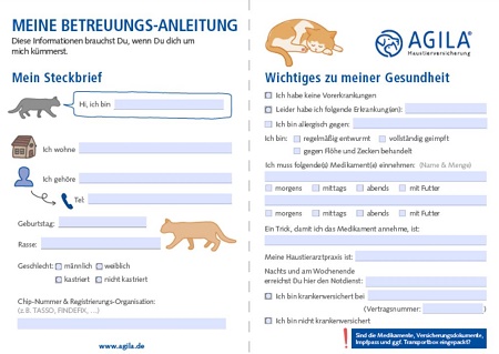 Katzenbetreuung