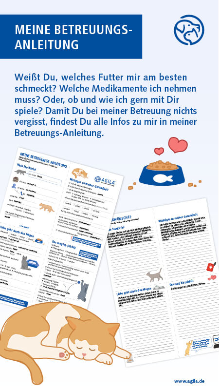 Betreuungs-Anleitung für Katzen