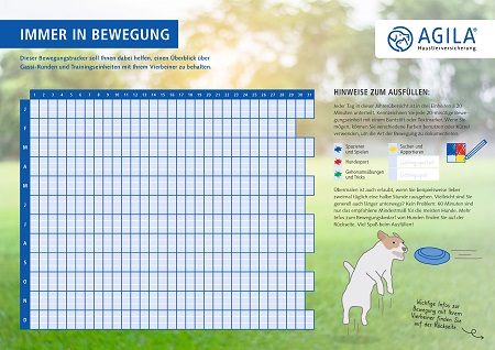 Dokumentieren Sie mit dem Bewegungstracker von AGILA die Auslastung Ihres Hundes