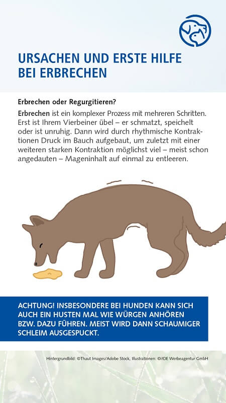 Erbrechen