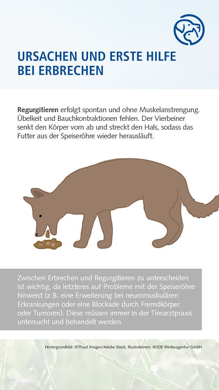 Erbrechen
