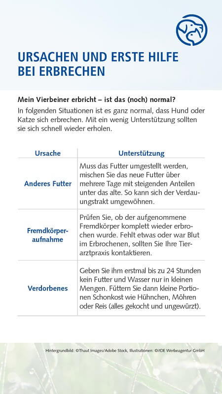 Erbrechen