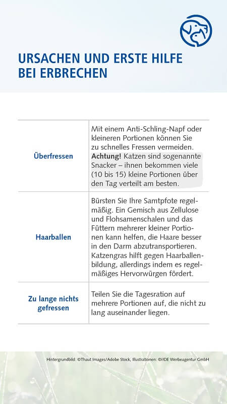 Erbrechen