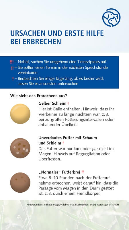 Erbrechen