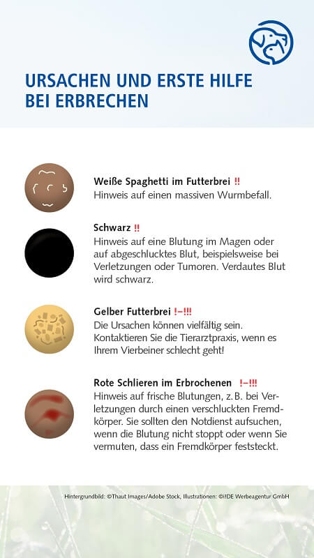 Erbrechen