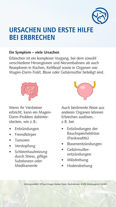Erbrechen