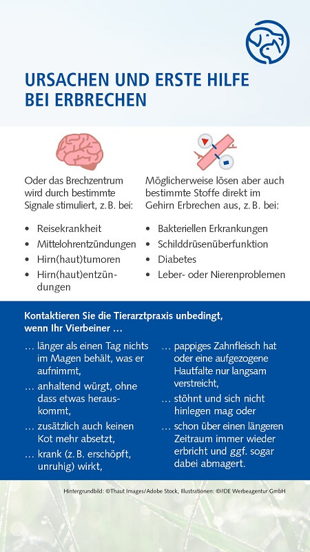 Erbrechen