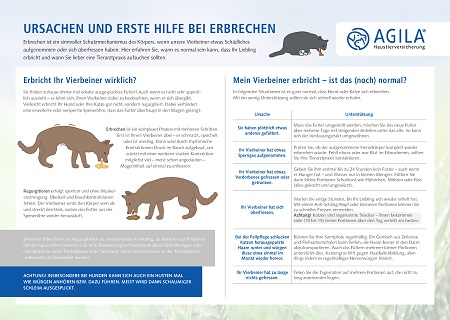 Erbrechen bei Hund und Katze: Ursachen und Erste Hilfe