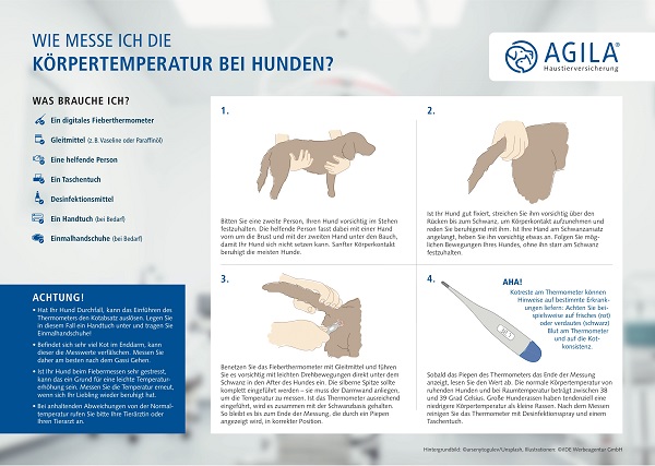 hydrogen meditativ mor Fieber beim Hund - Erkennen, messen, senken! - AGILA