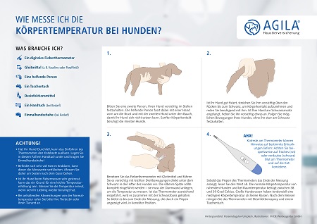 Fiebermessen beim Hund: So geht's!