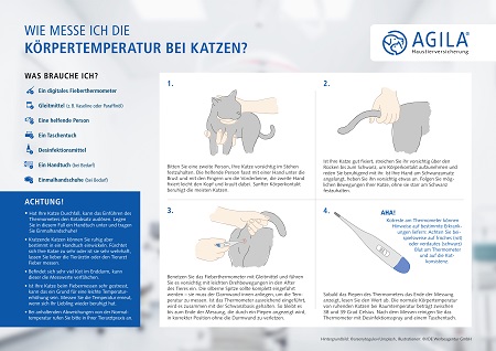 Fiebermessen bei der Katze: So geht's!