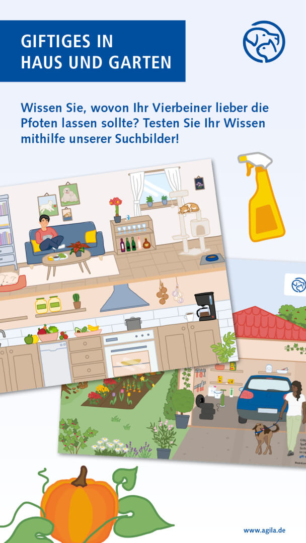 Gift-Suchbilder für Haus und Garten