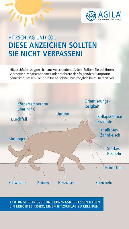 Hitzschlag Anzeigen