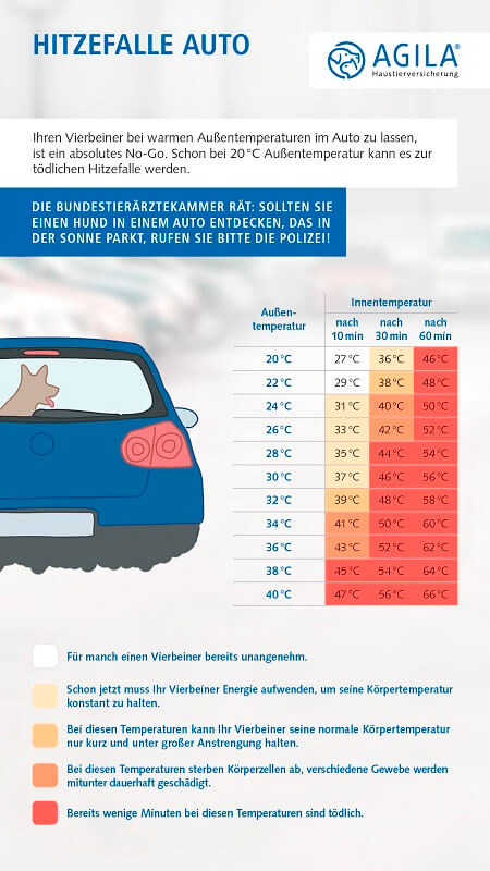 Hitzefalle Auto