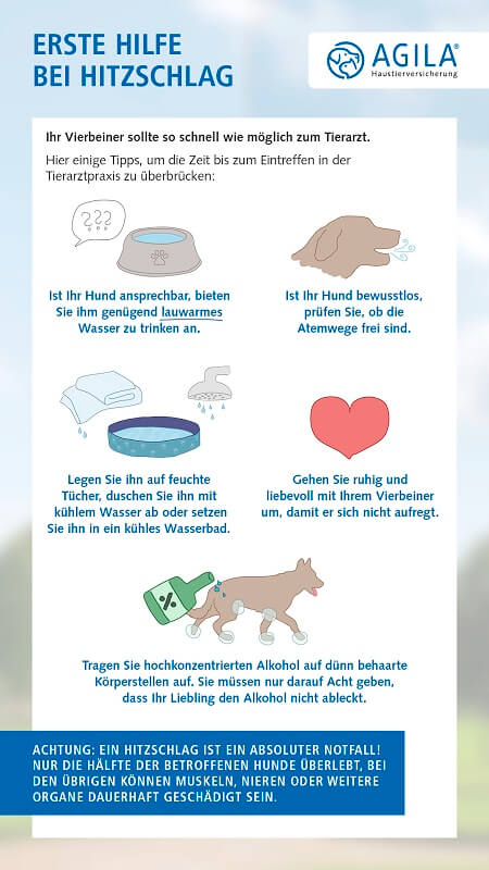 Hitzschlag Erste Hilfe