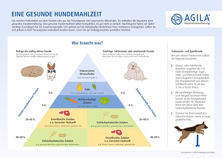 Die perfekte Hundemahlzeit zusammenstellen