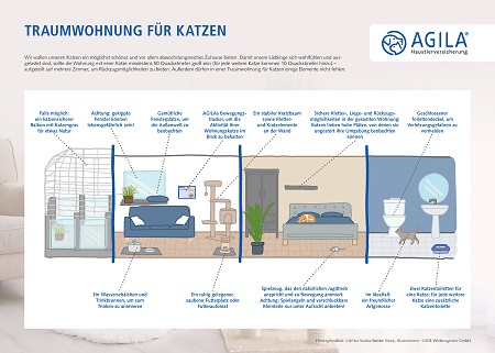 So richten Sie die perfekte Katzenwohnung ein