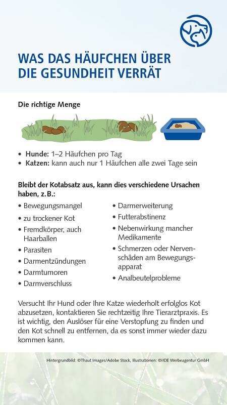 Häufchen-Skala