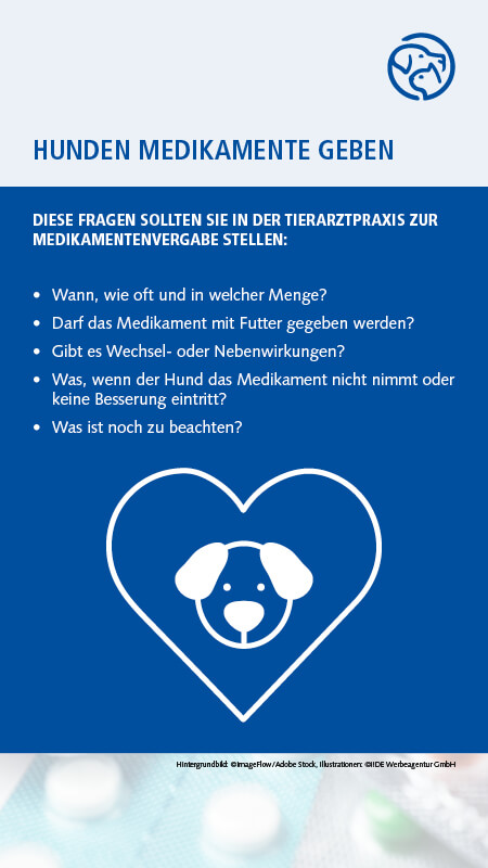 Hund Medikamente geben