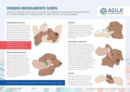 Medikamente verabreichen beim Hund