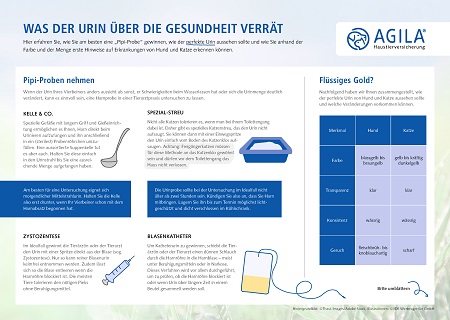 Krankheiten frühzeitig erkennen mit der Pipi-Skala von AGILA