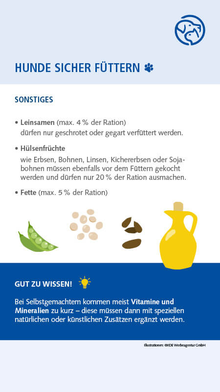 Sichere Lebensmittel für Hunde