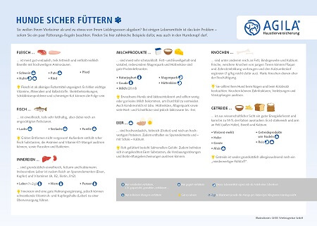 Sichere Lebensmittel für Hunde - Vorschau