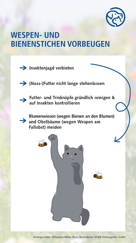 Wespen- und Bienenstiche