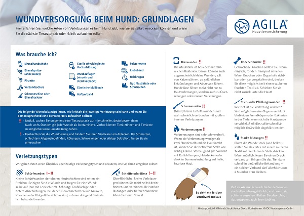 Wundversorgung beim Hund - Infografik AGILA