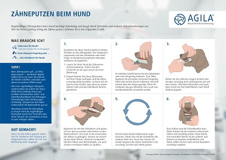 So funktioniert Zähneputzen beim Hund