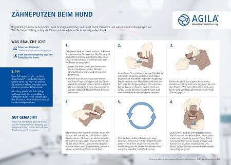 So funktioniert Zähneputzen beim Hund