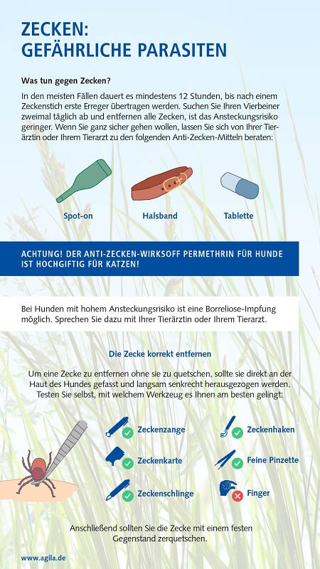 Zecken