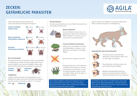 Zecken: Wo sie leben und wie Sie Hund und Katze davor schützen können