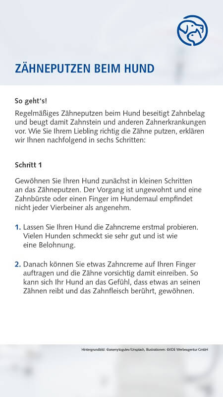 Zähneputzen beim Hund