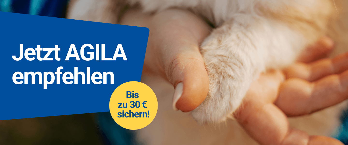agila kwk kampagne banner 1440x600