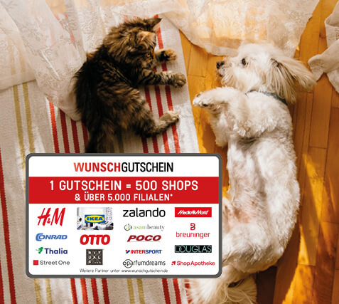Ein Hund und eine Katze liegen zusammen auf dem Boden; im Vordergrund ist ein Vorschaubild eines Wunschgutscheins zu sehen