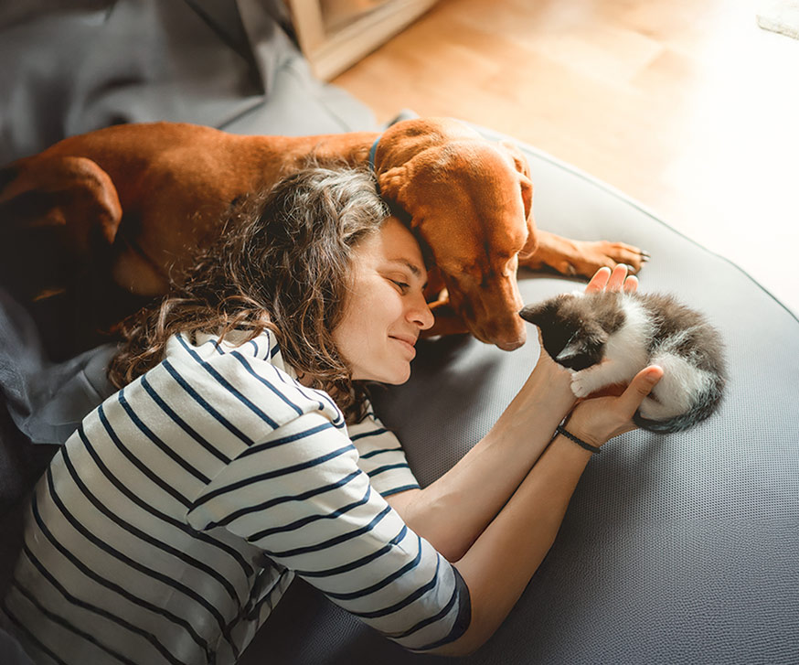 Eine Frau liegt mit Hund und Katze auf einem Sofa.