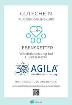 landingpage gewinnspiel gutschein text 242x350