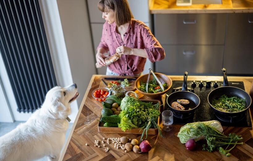 Dürfen Hunde Avocados essen?