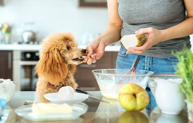 Dürfen Hunde Birnen essen?