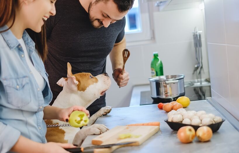 Dürfen Hunde Zwiebeln essen?