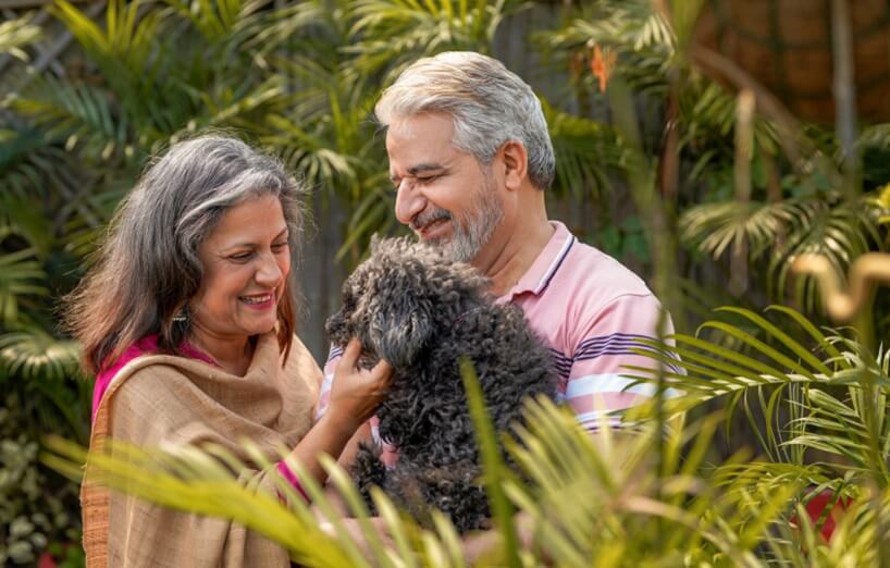 Niereninsuffizienz bei Hunden