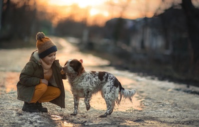 Frostschutzmittel Vergiftung bei Hund und Katze