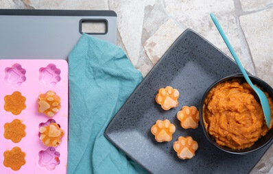 Hundeeis selber machen