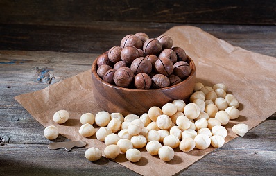 Macadamia-Nüsse für Hunde und Katzen gifitg