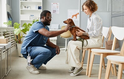 Qualzucht bei Hunden